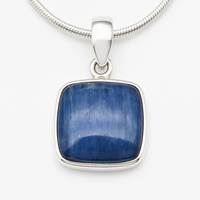 Thumbnail for 950 Silver Sodalite Necklace
