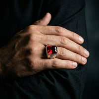 Thumbnail for Imperial — Anillo Plata 950 con Circón Rub