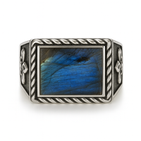 Thumbnail for Fleur de Lys Labradorite