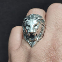 Thumbnail for Ring León